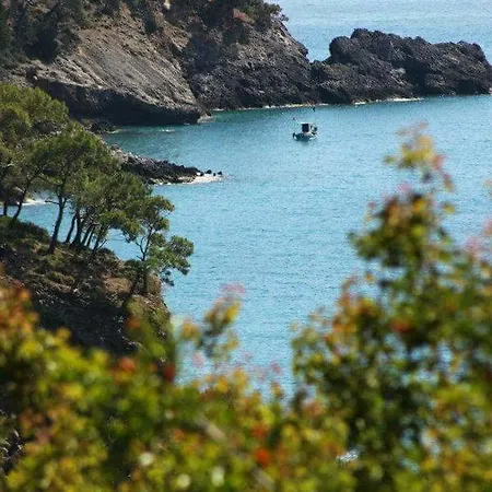 Sultan Camp *