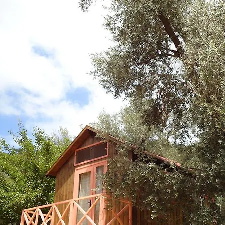 Campsite Sultan Camp *