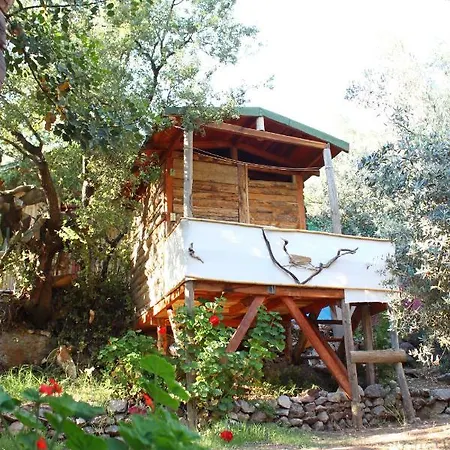 Sultan Camp