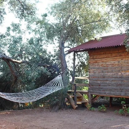Sultan Camp