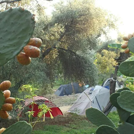 Sultan Camp Parque de Campismo Fethiye